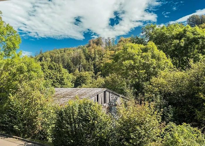 Ruhiges In Schwalefeld Mit Garten Апартаменты *